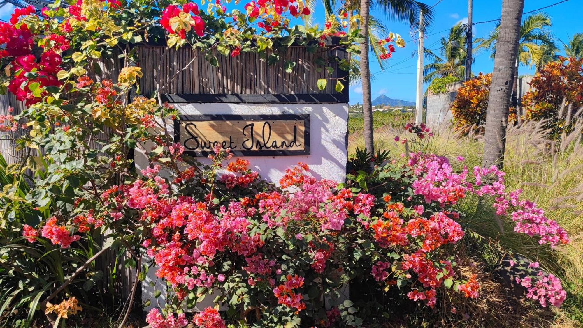 Sweet Island Bed & Breakfast Riviere Noire Exterior photo